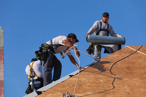 Best Roof Gutter Cleaning  in Bell, CA